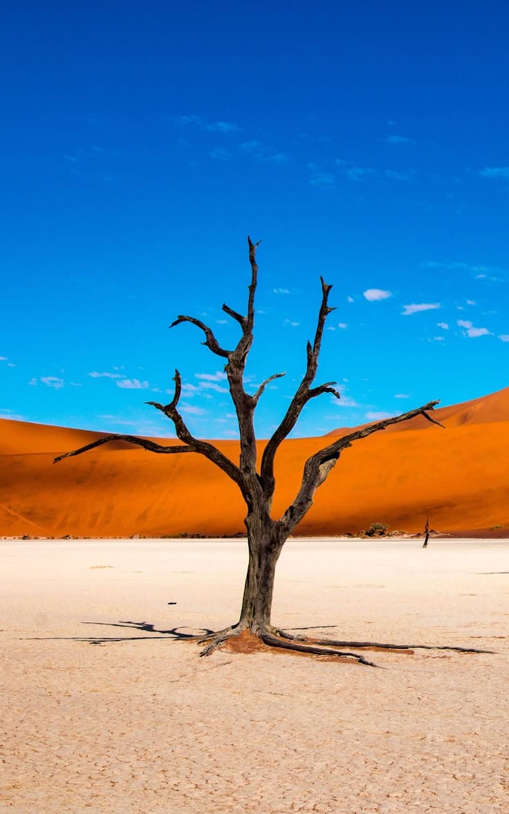 Tour de 10 días por el desierto, la vida silvestre y la cultura de Namibia