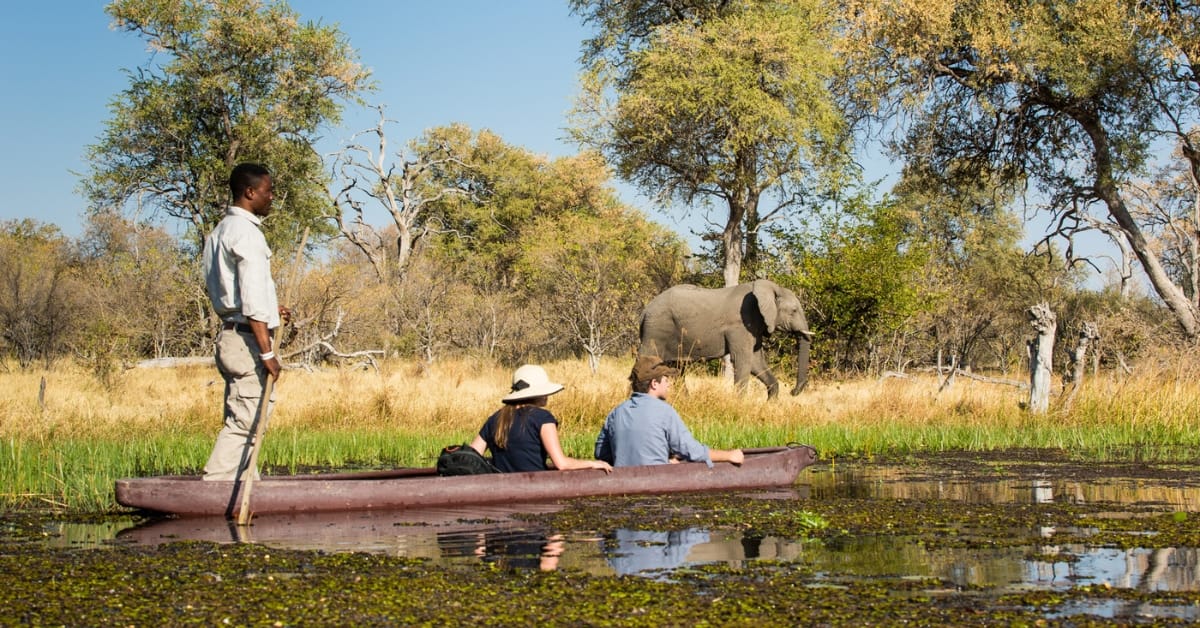 Safari Big Five de 6 días en Chobe y el Delta del Okavango