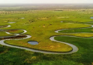 Safari Chobe Okavango Big Five