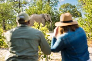 safaris en África