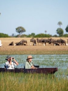 Safari en Mokoro en el Delta de Okavango