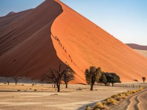 Dunas de desierto de Namib