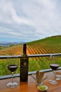 Safari vino Ciudad del Cabo