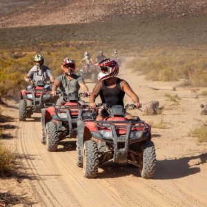 Aquila quad safari Big Five