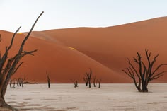 Deadvlei al amanecer