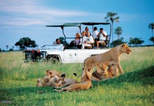 Paisaje verde del Parque Nacional Hwange durante la temporada húmeda