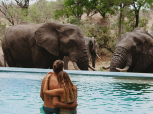 safari de luna de miel Sudafrica